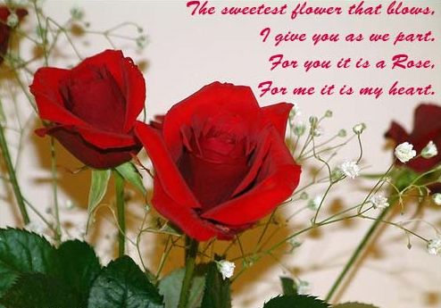 Happy rose day images