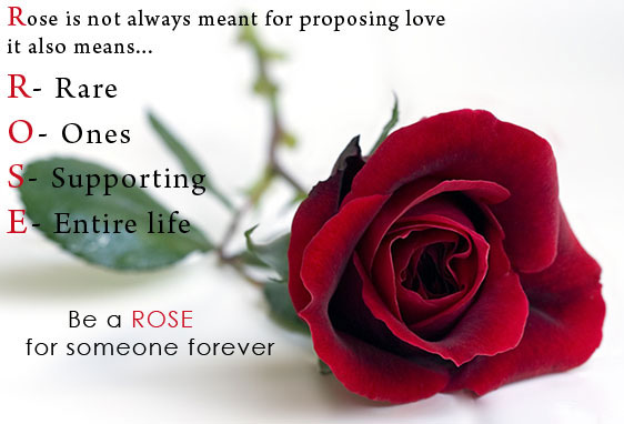 Happy rose day quotes for boyfriend