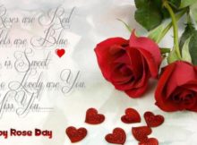 Happy rose day quotes wife