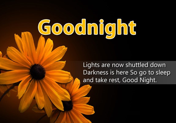 good night wishes picture