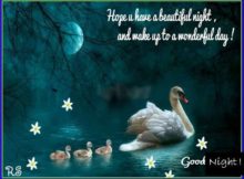 Good Night Wishes Images