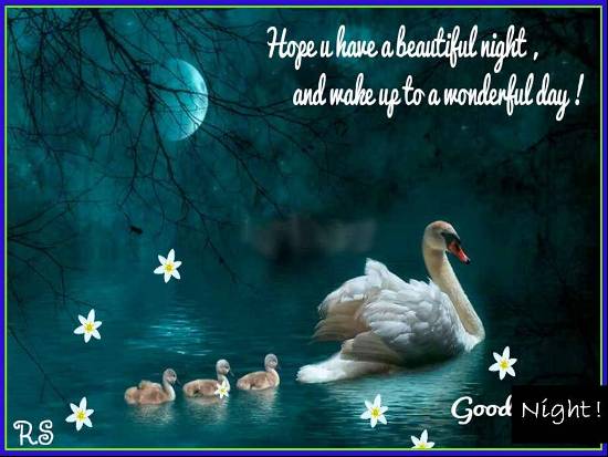 Good Night Wishes Images
