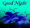 Good Night flower images